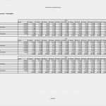 Bilanz Vorlage Pdf Hübsch Finanzplan Vorlage Für Businessplan Excel Kostenlos