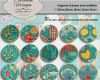 Bilder Collage Vorlage Schönste 193 Best Printable Digital Collage Sheet Circles Vorlage