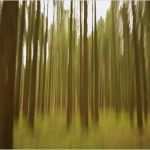 Bilder Selber Malen Vorlagen Beste Bilder Selber Malen Vorlagen Schönste Abstrakte Bilder