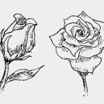 Bilder Selber Malen Vorlagen Genial Liebes Bilder Zum Ausmalen