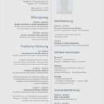 Biografie Vorlage Altenheim Genial 15 Kurzbiographie Vorlage