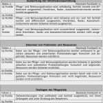 Biografie Vorlage Altenheim Genial Biografie Vorlage Altenheim Erstaunlich Praktische Prüfung