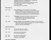 Biografie Vorlage Beispiel Bewundernswert 13 Biografie Beispiel