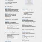 Biografie Vorlage Beispiel Cool Bewerbungsmuster Für Bwl