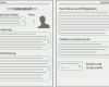 Biografie Vorlage Beispiel Erstaunlich 9 Biografie Muster