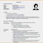 Biografie Vorlage Beispiel Gut Biografie Vorlage Beispiel Cool 8 Lebenslauf Schreiben