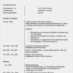 Biografie Vorlage Beispiel Gut Dj Bewerbung Muster
