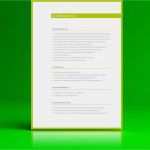 Biografie Vorlage Beispiel Hübsch Muster Lebenslauf Für Word Und Open Fice