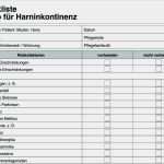 Biografiearbeit Altenpflege Vorlage Genial Fein Demenz Pflegeplan Vorlage Galerie