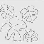 Blätter Vorlagen Zum Ausschneiden Best Of 70 Bewundernswert Blätter Vorlagen Zum Ausschneiden Foto