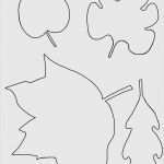 Blätter Vorlagen Zum Ausschneiden Einzigartig Blätter Vorlagen Zum Ausschneiden Bewundernswert