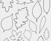 Blätter Vorlagen Zum Ausschneiden Einzigartig Herbstinspirationen Blätter Zum Ausdrucken Und Bemalen