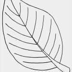 Blätter Vorlagen Zum Ausschneiden Gut Ausmalbilder Malvorlagen – Blätter Kostenlos Zum