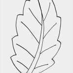 Blätter Vorlagen Zum Ausschneiden Hübsch 29 Luxus Blumen Vorlagen Zum Ausschneiden