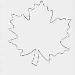Blätter Vorlagen Zum Ausschneiden Schönste Blätter Vorlagen Zum Ausschneiden Best Malvorlagen Und