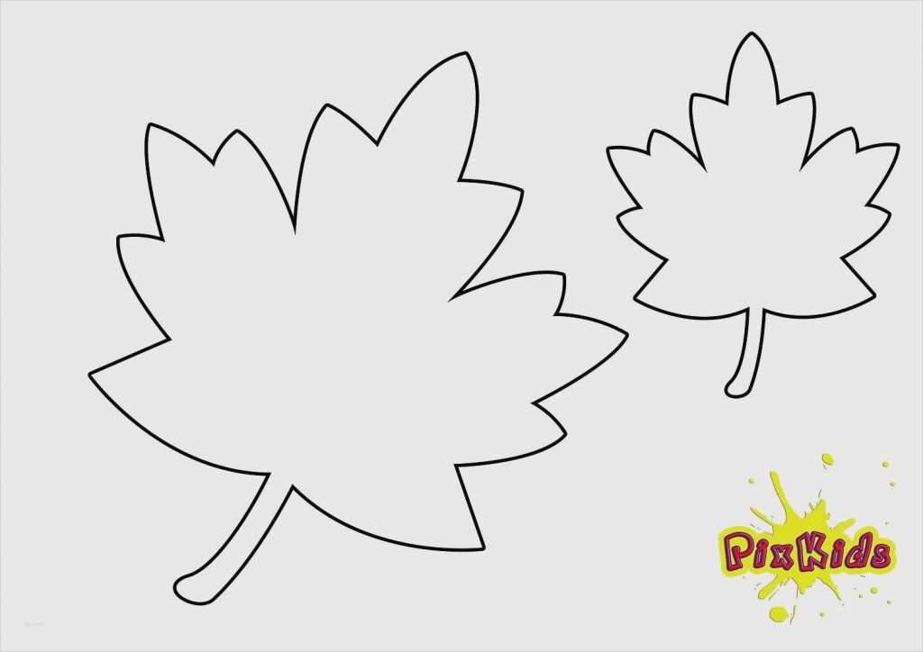 Blätter Vorlagen Zum Ausschneiden Schönste Blätter Vorlagen Zum
