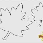 Blätter Vorlagen Zum Ausschneiden Schönste Blätter Vorlagen Zum Ausschneiden Elegant Blätter
