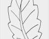 Blätter Vorlagen Zum Ausschneiden Wunderbar Blätter Vorlagen Zum Ausschneiden Elegant Ausmalbilder
