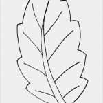 Blätter Vorlagen Zum Ausschneiden Wunderbar Blätter Vorlagen Zum Ausschneiden Elegant Ausmalbilder