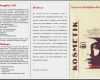 Blog Vorlagen Kostenlos Elegant Bewerbungsflyer Vorlagen Kostenlos Download Mit Einer Flyer Bewerbung Zum Traumjob Saxoprint