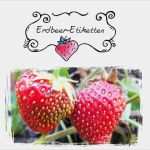 Blog Vorlagen Kostenlos Elegant Etiketten Vorlagen Kostenlos Zum Ausdrucken