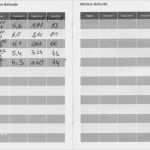 Blutzucker Tabelle Vorlage Erstaunlich Blutzucker Tabelle Vorlage Cool Diabetiker Tagebuch Zum