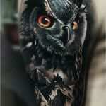 Bod Cover Vorlage Gut Pin Od Pszeklety Na Owl Pinterest