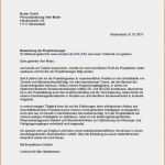 Bogy Bewerbung Vorlage Erstaunlich 13 Bogy Bewerbung Muster