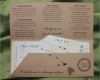 Bordkarte Vorlage Geschenk Angenehm Die Besten 25 Boarding Pass Template Ideen Auf Pinterest