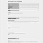 Briefing Grafiker Vorlage Angenehm Briefingvorlage Pdf