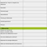 Briefing Grafiker Vorlage Genial Vorlage Agenturbriefing Pdf