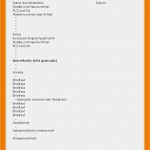 Briefing Grafiker Vorlage Neu 9 Briefvorlage