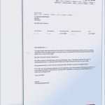 Briefing Grafiker Vorlage Schön Einladung Hafalzerne Hochzeit Ideen