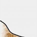 Briefpapier Hochzeit Vorlagen Kostenlos Luxus Kostenloses Briefpapier "hochzeit" Vorlagen Zum Selbst