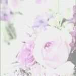 Briefpapier Hochzeit Vorlagen Kostenlos Wunderbar Briefpapier Vorlagen Kostenlos Der Beste Ziemlich Rose