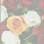 Briefpapier Vorlagen Weihnachten Kostenlos Zum Ausdrucken Luxus Kostenloses Briefpapier "liebe" Vorlagen Zum Selbst