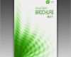 Broschüre Vorlage Download Hübsch Grüne Broschüre Vorlage