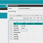 Btm Dokumentation Vorlage Beste Niedlich Vorlage Für Die Medikamentenliste Galerie