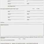 Btm Dokumentation Vorlage Bewundernswert Richtlinien Für Bearbeitung Von Ermittlungsverfahren