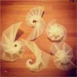 Bücher Falten Vorlagen Zum Ausdrucken Erstaunlich Nautilusspirale Gratis Anleitung Z Ausdrucken