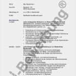 Buchungsanfrage Hotel Vorlage Einzigartig Luxus Bilder Von Lebenslauf Tabellarisch Muster