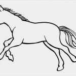 Buchungsanfrage Hotel Vorlage Fabelhaft 53 Schönheit Von Pferde Zum Ausdrucken