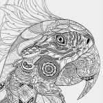 Bügelperlen Vorlagen Für Erwachsene Neu Die Besten 25 Mandalas Erwachsene Ideen Auf Pinterest