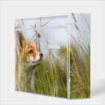 Burg Wächter Briefkasten Namensschild Vorlage Beste Burg Wächter Mail Fuchs Briefkasten