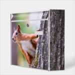 Burg Wächter Briefkasten Namensschild Vorlage Bewundernswert Burg Wächter Mail Eichhörnchen Briefkasten