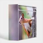 Burg Wächter Briefkasten Namensschild Vorlage Süß Burg Wächter Mail Eichhörnchen Briefkasten