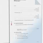 Bürgschaft Vorlage Pdf Elegant Selbstschuldnerische Bürgschaft Muster Vorlage Zum Download