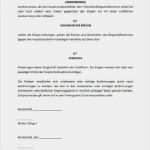 Bürgschaft Vorlage Pdf Inspiration Bürgschaft Miete Vorlage Erstaunlich Mietbürgschaft Eltern