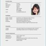 Business Lebenslauf Vorlage Einzigartig Tabellarischer Lebenslauf Muster Business Template