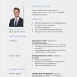 Business Lebenslauf Vorlage Gut Niedlich Controller Lebenslauf Vorlage Fotos Entry Level